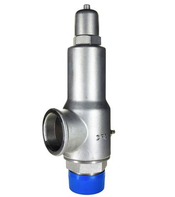 DN50 Safety Valve for Liquid Nitrogen Competitive Price for Pressure Regulation